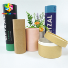 Kraft Paper Push Up Cardboard Tube Pharmaceutical Blister Packaging Offset Printing