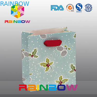 Printed Colorful Customized Paper Bags Gift Paper Bag For Cloths / Shoes