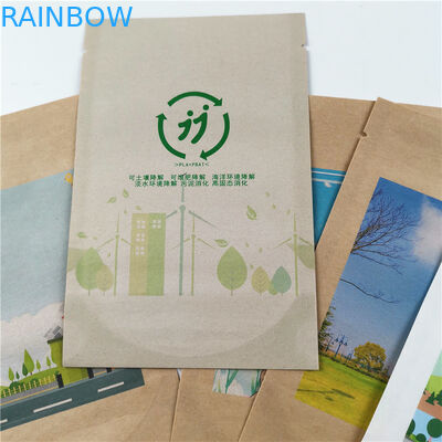 VMPET 1.2C PA 1.5C Kraft Paper Bag Biodegradable Sachet Paper Bags