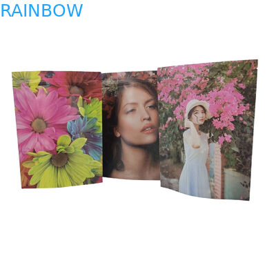 Customized Pla Food Packaging Bag Plastic Zip Lock Aluminum Foil Bags