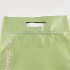 Gravnre 150mic FDA Reusable Zipper Plastic Bags CYMK MOPP For Underwear