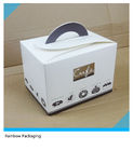 Beautiful Foldable Cake Packaging Box Silver Art / Kraft Paper With Handle