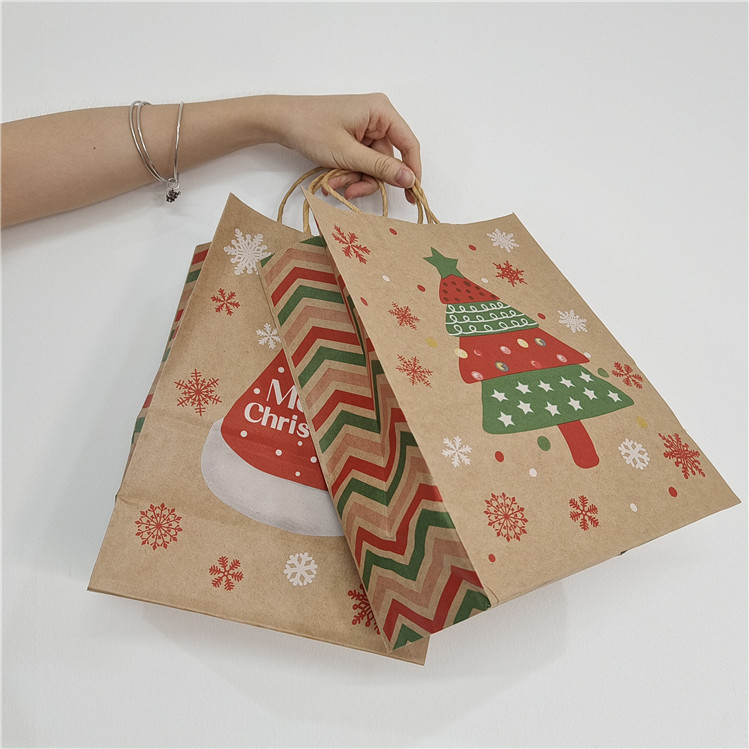 Customized Paper Bags with Drawstring for Gift/Garment/Shopping Eco-Friendly and Affordable